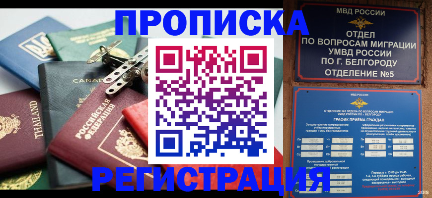 временная регистрация недорого в Димитровграде